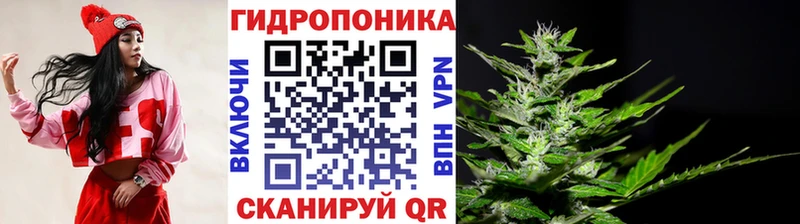Виды наркотиков купить Слюдянка Экстази Псилоцибиновые грибы МЕФ Конопля Гашиш