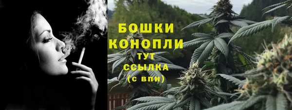 крисы Новодвинск