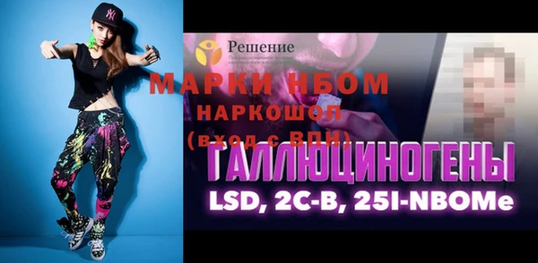 крисы Новодвинск