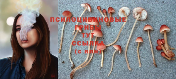 кокаин Краснослободск