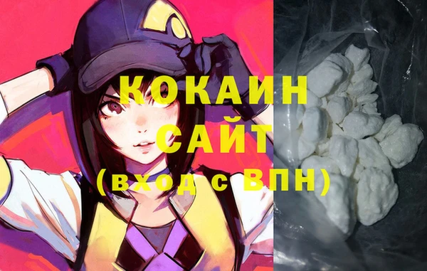 дмт Няндома