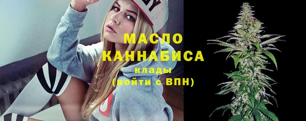 дмт Няндома