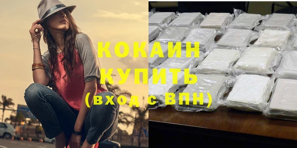 PSILOCYBIN Новозыбков